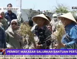 Walikota Makassar Salurkan Bantuan Pertanian ke Petani