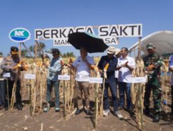 Bupati Jeneponto Hadiri Expo Benih Jagung Biotek NK 6172S di Bontoramba